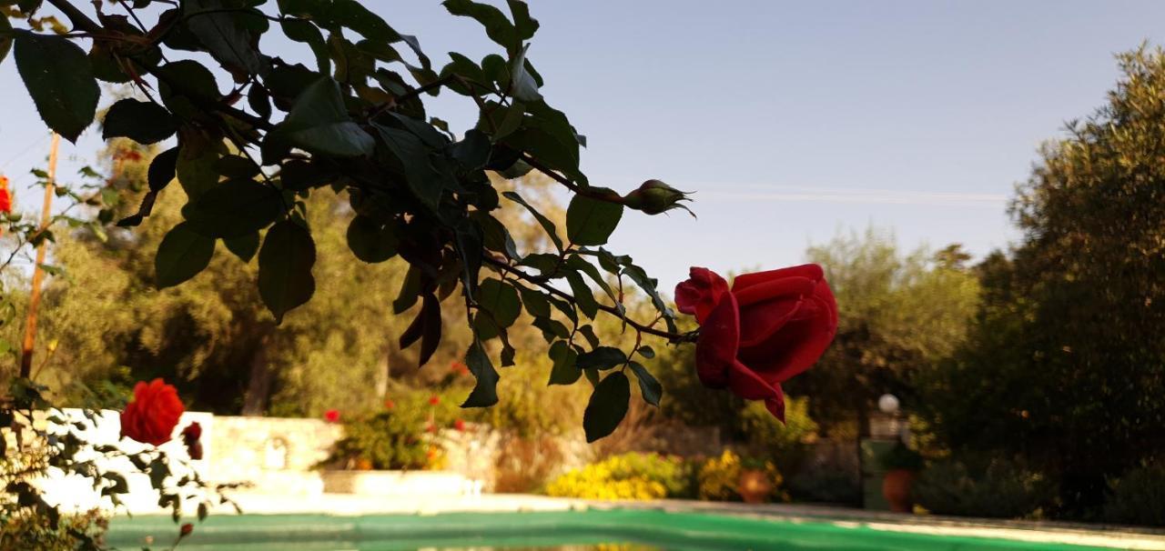 Livadi Studios With Pool Lákka Екстериор снимка