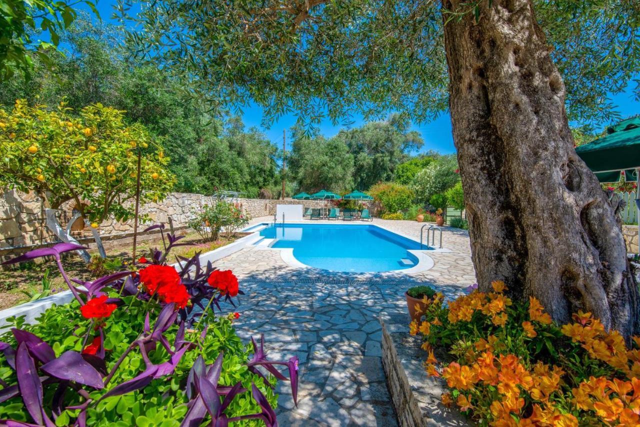 Livadi Studios With Pool Lákka Екстериор снимка